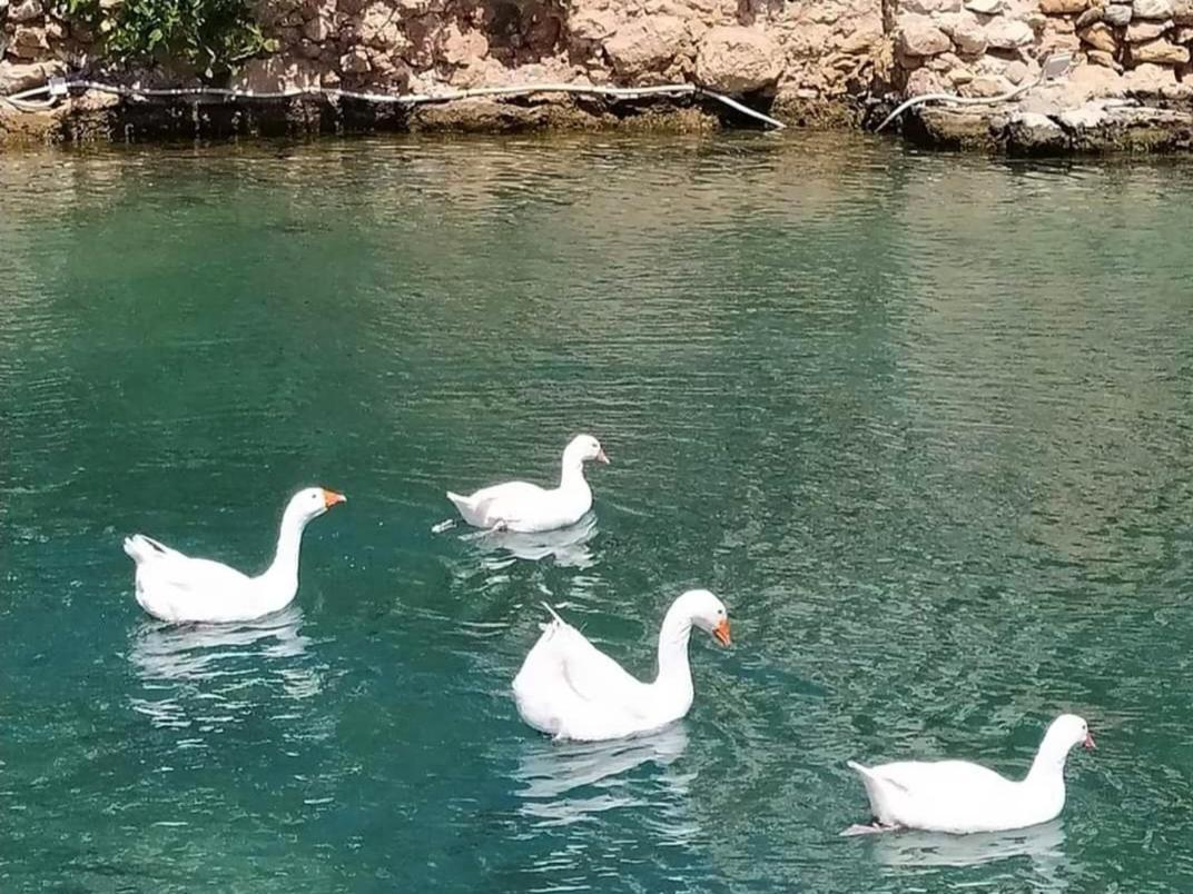 Villa Trypitos Sitia  Zewnętrze zdjęcie